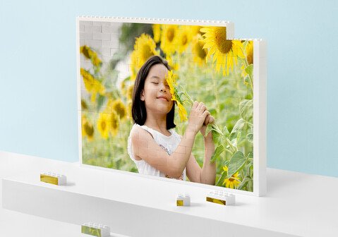 Fotografia em tijolos — personalizado personalizado — The Cat's