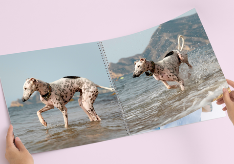Caderno fotográfico em espiral — personalizado personalizado — The Cat's