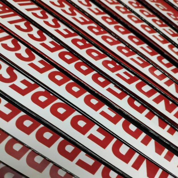 Autocolantes ovais personalizado — The Cat's