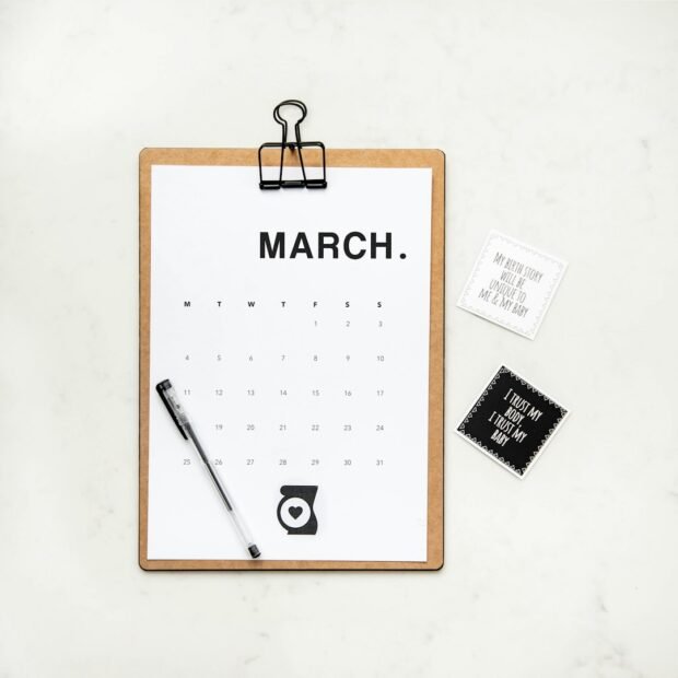 Calendário de bolso 85 × 55 mm personalizado — The Cat's