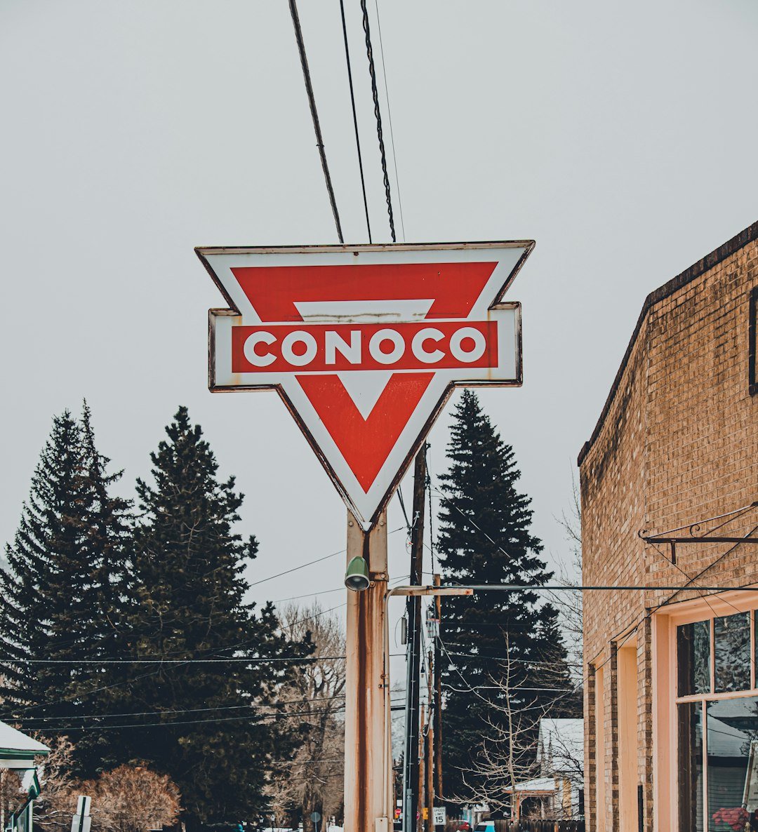 Vinil de montra — Promoções
